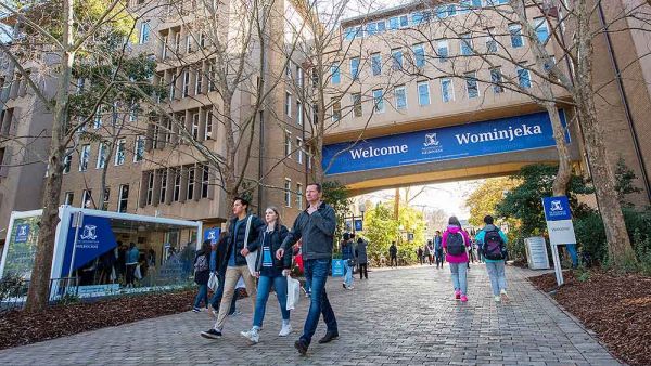 منحة جامعة ملبورن في أستراليا عبر الانترنت 2021