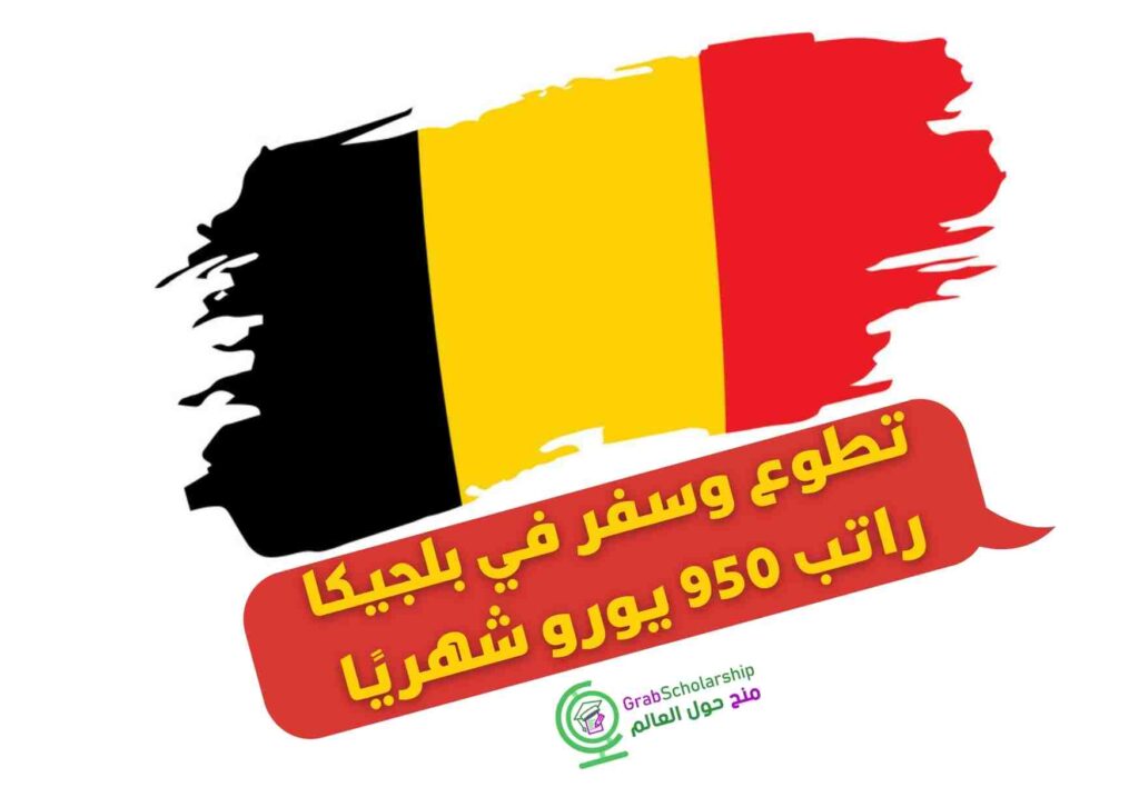 تطوع وسفر في بلجيكا