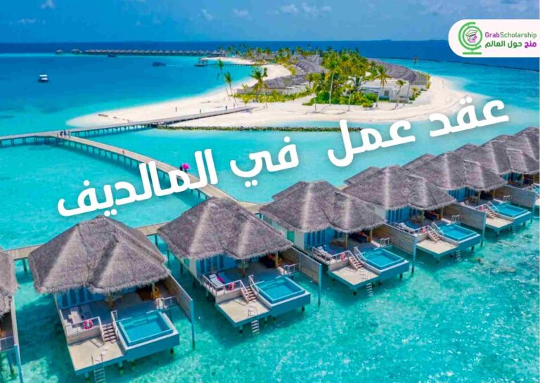 عقد عمل براتب 2000 دولار في جزر المالديف الساحرة لمتحدثي العربية