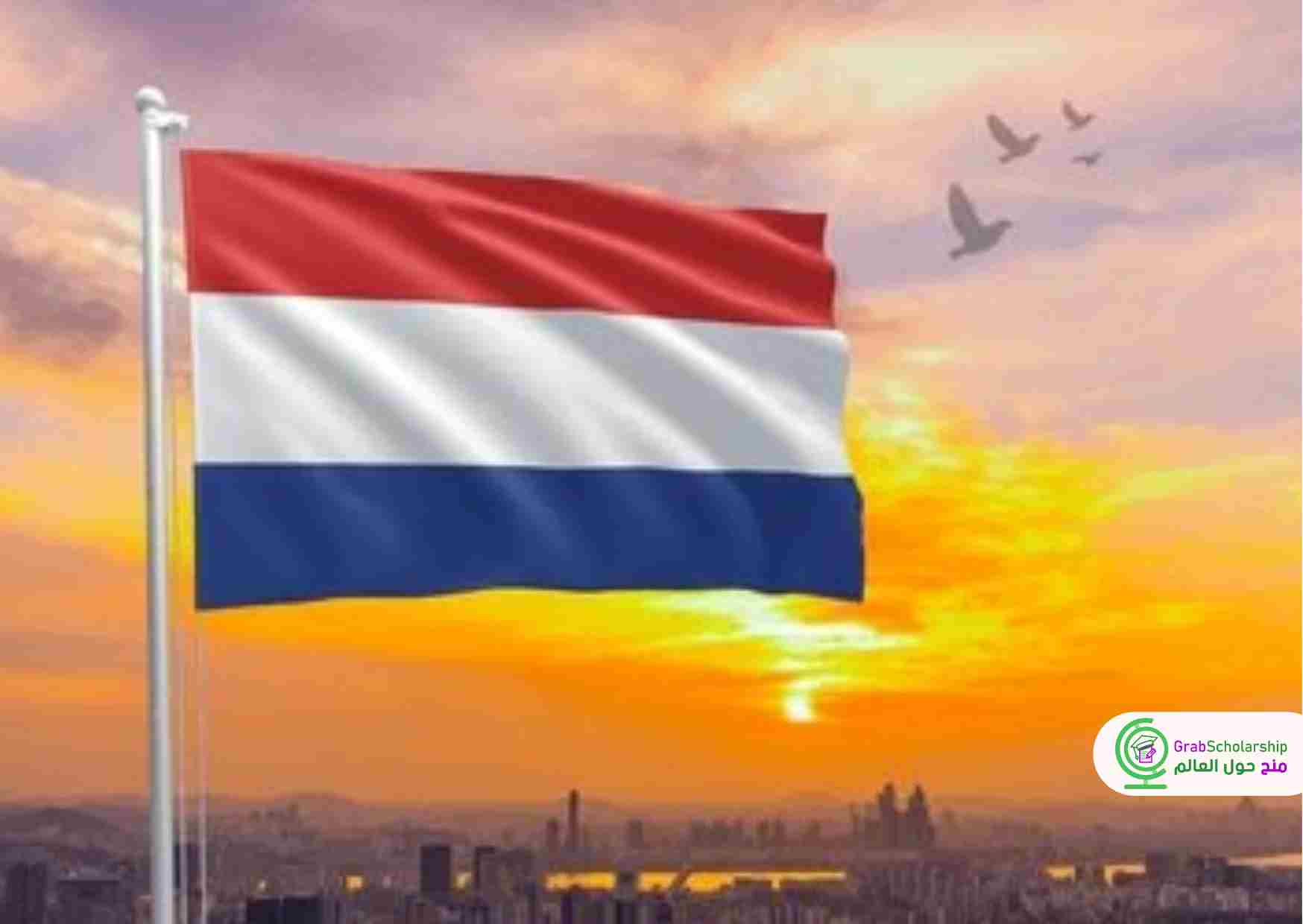 سافر هولندا شهرين مجانا 2025 مع توفير الفيزا وتذاكر الطيران
