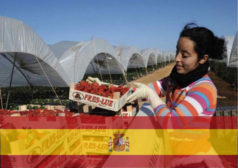 إسبانيا تستهدف العمالة الموسمية من خلال طرح عقود عمل